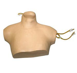 Central venous puncture intubation model - Central venous puncture training simulation model